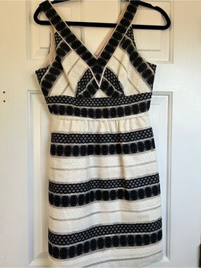 4 Black & White Striped Lace V-Neck Women's Dress